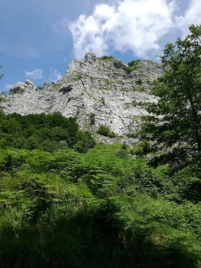 Feriehus Villetta Marina Verde Cinquale