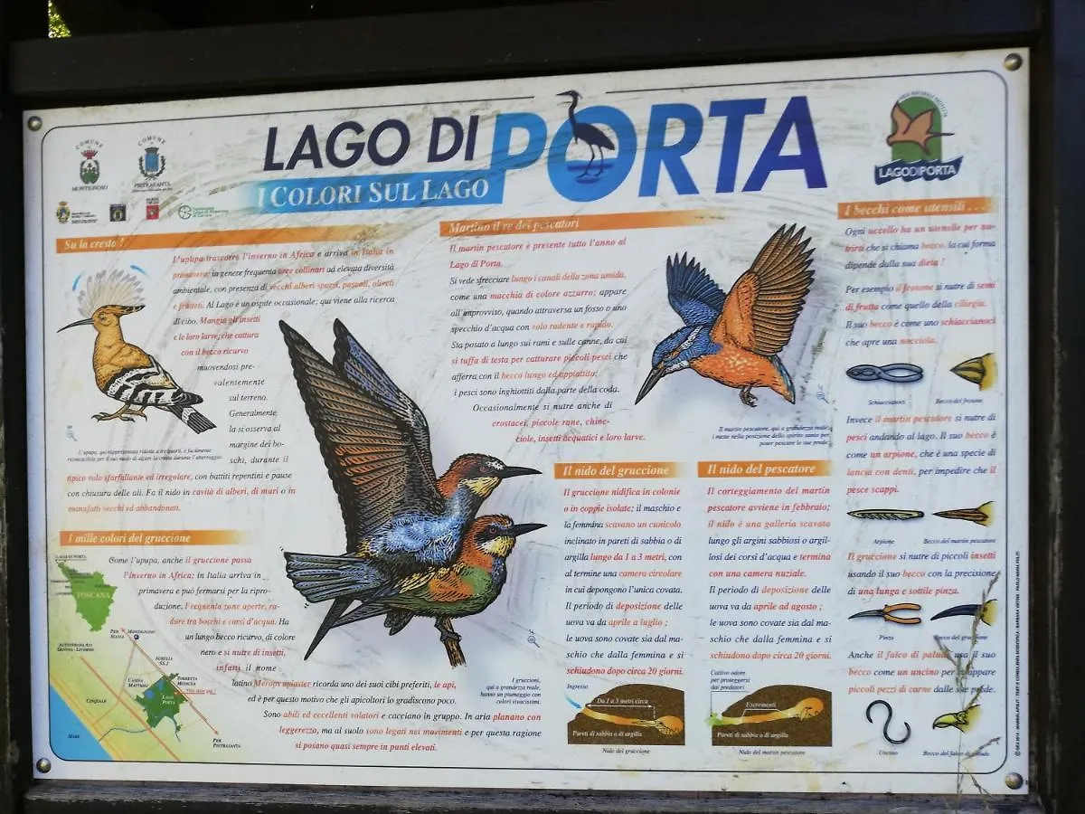 Villetta Marina Verde Cinquale 0*,  Italy
